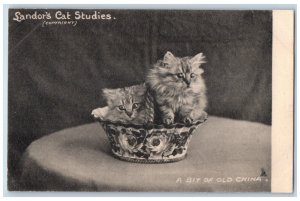 Postcard A Bit of Old China Two Cats in a Cup Landor's Studies c1905 Tuck Art