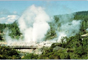 Geyser Field At Whakarewarewa Rotorua New Zealand Postcard