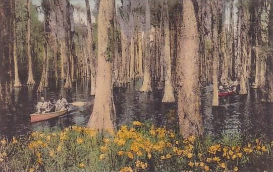 Cypress Gardens Charleston South Carolina