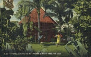 Rare Bird Farm - Miami, Florida FL Postcard