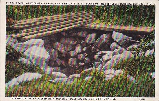 New York Bemis Heights The old Well At Freemans Farm Scene Of The Fiercest Fi...