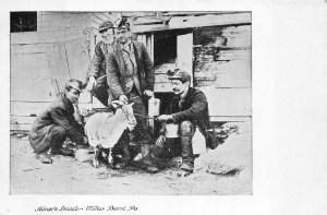 GOAT COAL MINER'S LUNCH WILKES BARRE PENNSYLVANIA POSTCARD (c. 1907)