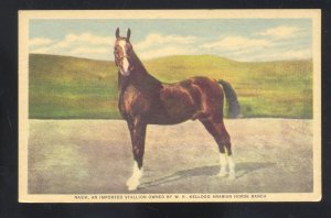 POMONA CALIFORNIA NASIK ARAB STALLIAN HORSE BREEDING ADVERTISING POSTCARD