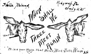 DONKEY RIDGWAY PENNSYLVANIA  HAND MADE NOVELTY POSTCARD 1905