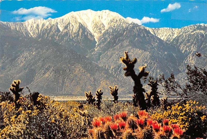 San Jacinto Mountain - California