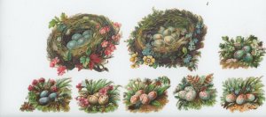 1880's Birds Nests Eggs Victorian DIe Cut Trade Card x704E