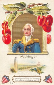 US Patriotic George Washington Portrait Cherry embossed postcard B985