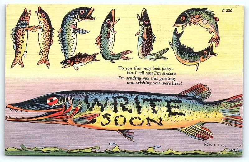 Postcard Large Letter Hello Made of Fish Write Soon  R53