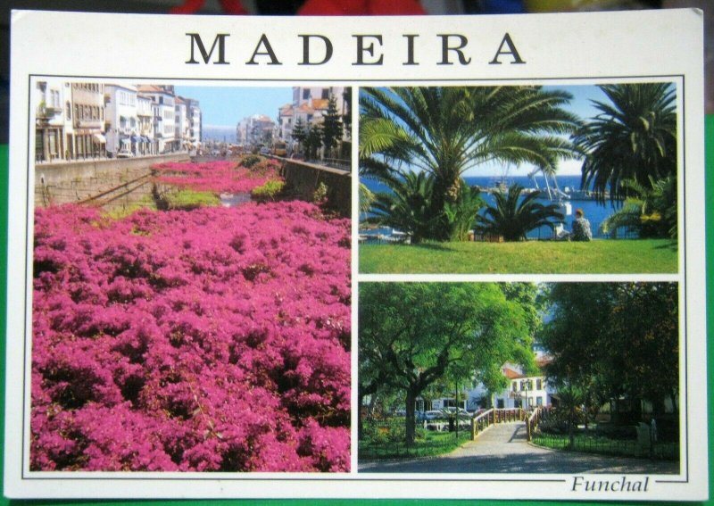 Portugal Madeira Funchal - unposted