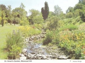 Dr Doctor Smarts Garden Marwood Hill Devon Postcard