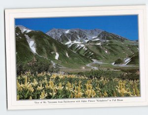 Postcard View of Mt. Tateyama from Raichozawa Tateyama Japan