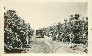 Brazil Sao Paulo Farm Agriculture workers 1930s RPPC Photo Postcard 21-2534