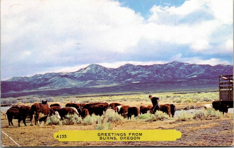 Vintage 1950s Chrome Postcard - Greetings From Burns, Oregon Stinker Hunting