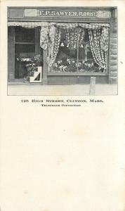 F. P. Sawyer, Florist Storefront. 125 High Street, Clinton, MA Postcard