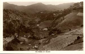 St. Helena, The Ridges (1930s)