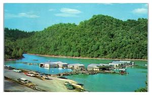 1950s/60s Hurricane Dock at Center Hill Lake near Cookeville, TN Postcard