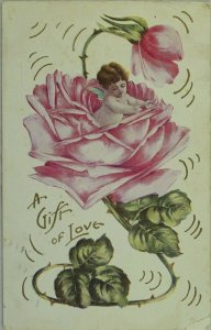 Valentine, Gift of Love, Cherub in Giant Flower Vintage Postcard P45 