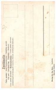 Dog ,  Watching Farrier