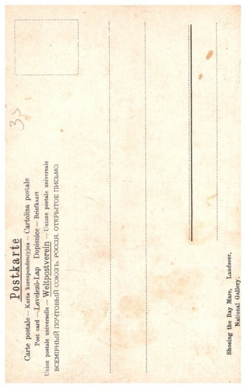 Dog ,  Watching Farrier