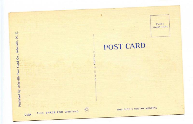 Comic - The First One I Caught, Fishing