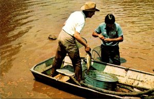 President Jimmy Carter In Miss Lillian's Pond Plains Georgia August 1976