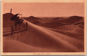 Africa Les Grandes Dunes Vintage Postcard C145