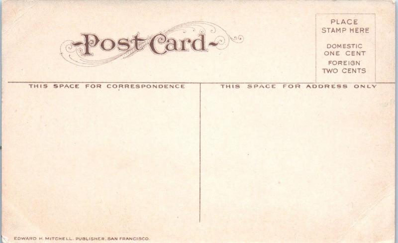 SAUSALITO, CA  FERRY LANDING, NORTH SHORE RAILROAD Depot  c1910s MARIN  Postcard