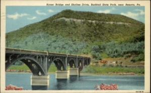 Bucktail State Park PA Bridge Postcard