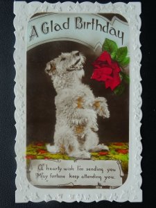 DOGGIE A Glad Birthday Greetings TERRIER Dog Breed c1940s RP Postcard