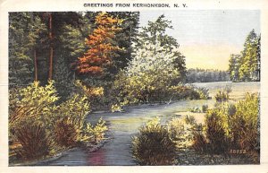Greetings From Kerhonkson, New York NY