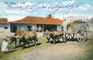 Ox team traction cart old postcard