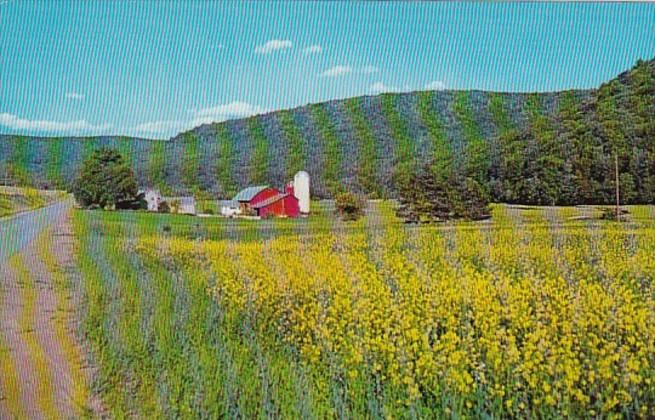 Greetings From The Pennsylvania Dutch Country A Field Of Golden Green