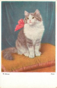 Cat Postcard White & Gray Tabby With Red Bow W. Schwar Peter 1124