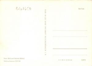 BG1650 weissenfels saale   CPSM 14x9.5cm  germany