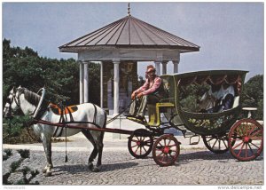 Old Turkish Carriage, Camlica Hill, ISTANBUL, Turkey, 50-70´s