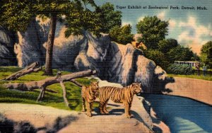 Michigan Detroit Zoological Park The Tiger Exhibit