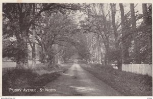 ST. NEOTS , Cambridgeshire, England, 1900-1910's; Priorty Avenue