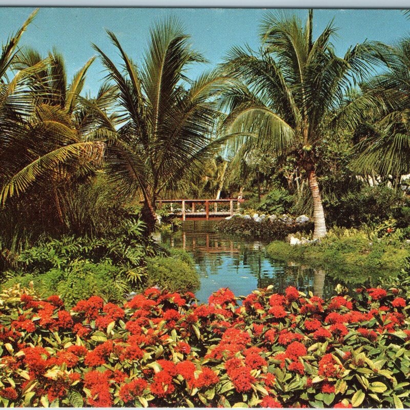 c1970s Freeport, Bahamas Garden of the Groves Chrome Photo by Chris Lothian A197