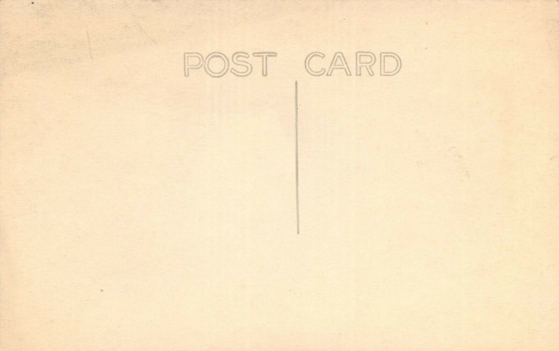 LPS38 Mt. Tamalpais California Aerial View Muir Woods Railway Postcard RPPC