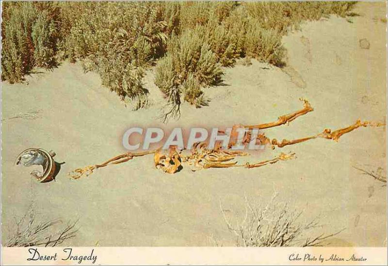 Postcard Modern Tragedy Nevada Desert