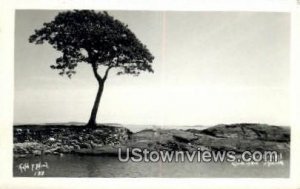 Real Photo, Stone Sentines in Camden, Maine