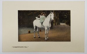 Beautiful White Horse Little Girl Dogs Horseback Companions All Postcard D26