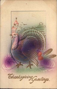 Thanksgiving Turkey Embossed Airbrushed c1910 Vintage Postcard