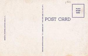 The Curtain Cascade at Watkins Glen NY, New York