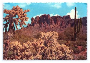 Superstition Mountain Saguaro Cactus Arizona c1967 Continental View Postcard