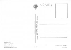 us8391 salinas del janubio lanzarote spain