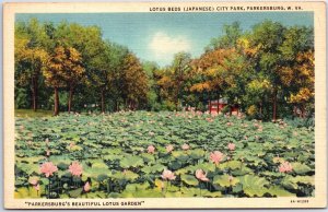 VINTAGE POSTCARD JAPANESE LOTUS BEDS AT CITY PARK PARKERSBURG WEST VIRGINIA