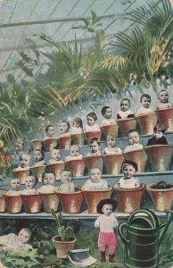 Multiple Babies Greetings Green House with Babies in Flower Pots pm 1912  - KViB