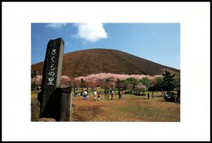 Sakuranosato,Ito City,Japan