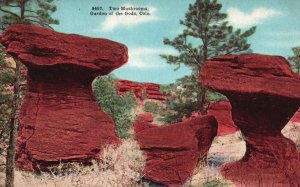 Vintage Postcard Two Mushrooms Garden Of The Gods Rock Formations Colorado CO